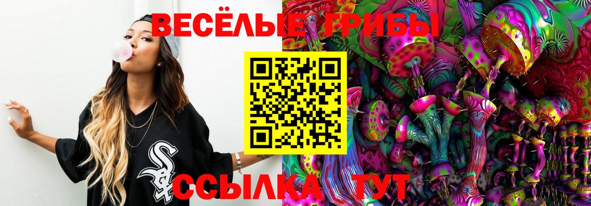 Псилоцибиновые грибы GOLDEN TEACHER Миасс