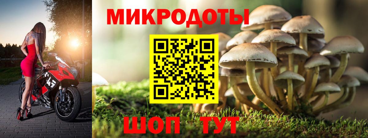 хочу наркоту  Вход с VPN  Миасс  Галлюциногенные грибы Psilocybine cubensis 